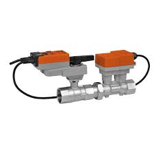 Belimo P2200S-654+ARX24-EP