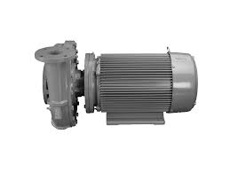 Paco Pumps 14-30957-13036A-2822P