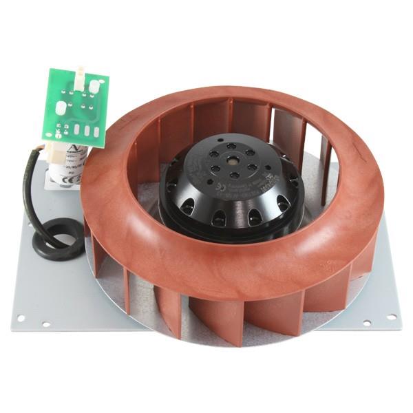 Ssd Drives LA466711U001