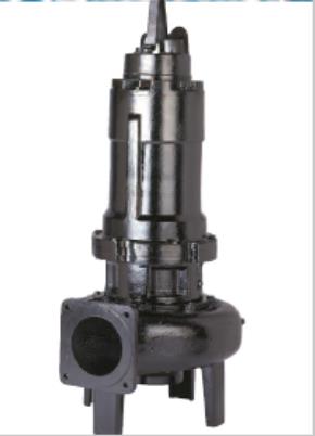 Ebara Pump 300DLFU6454