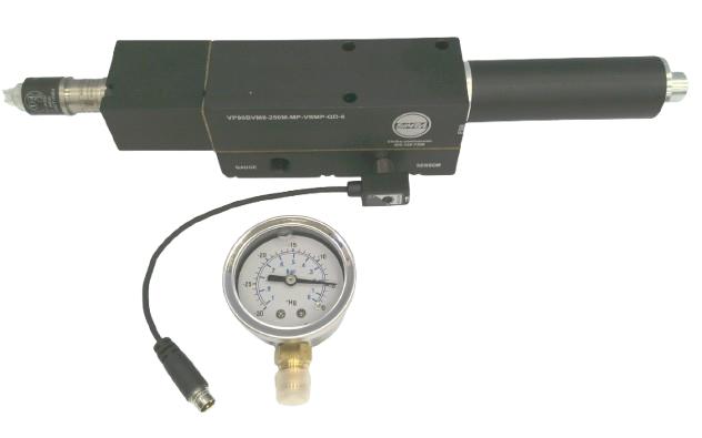 Bimba VP80BVM8-250M-MP-VSMP-QD-6