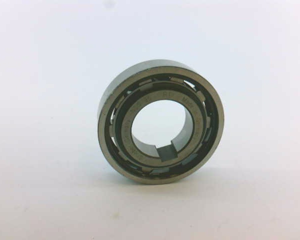 Regal Rexnord NSS-35