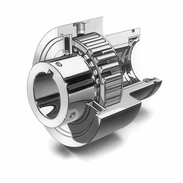 Altra Industrial Motion CL41290-1GRRH