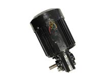 Bodine Electric 48R6BFSI-5N