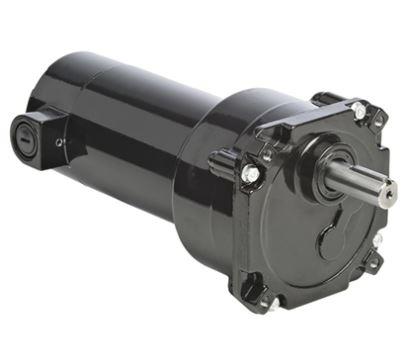 Bodine Electric 24A4FEPM-D5