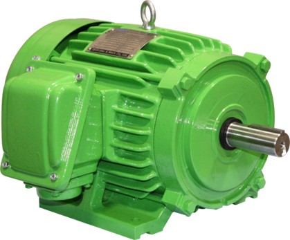 Teco-westinghouse PM0206