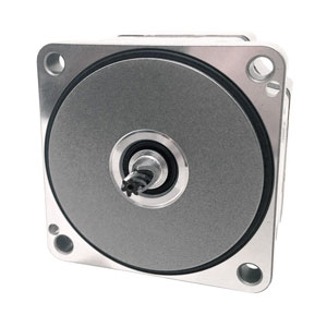 Oriental Motor BLM230-GFV