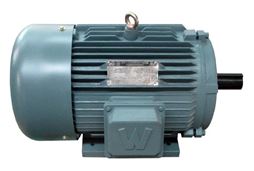 Worldwide Electric EP5-18-184T