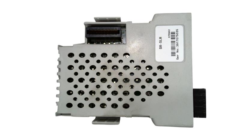 Control Techniques SM-SLM