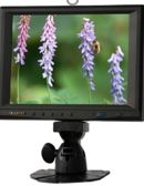 Lilliput 859GL-80NP/C/T