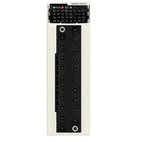 Schneider Electric BMXAMM0600H