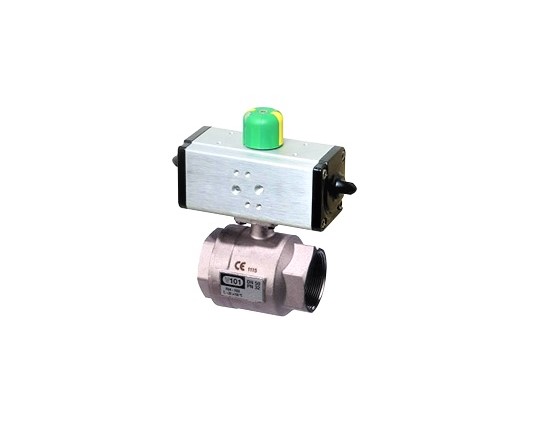 Assured Automation E101NXP8D