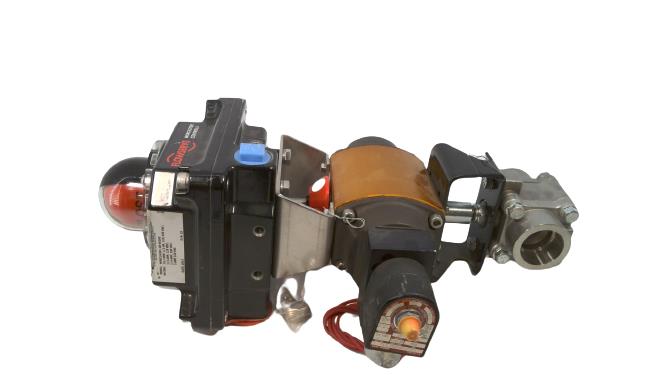 Flowserve WNXCLU2M1-18-00200