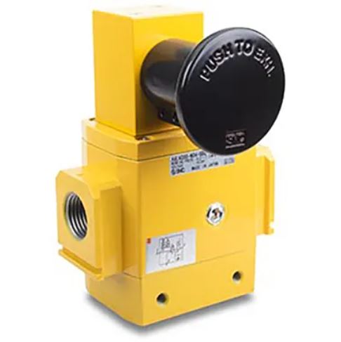 Smc AVL4000-N04-5DZM