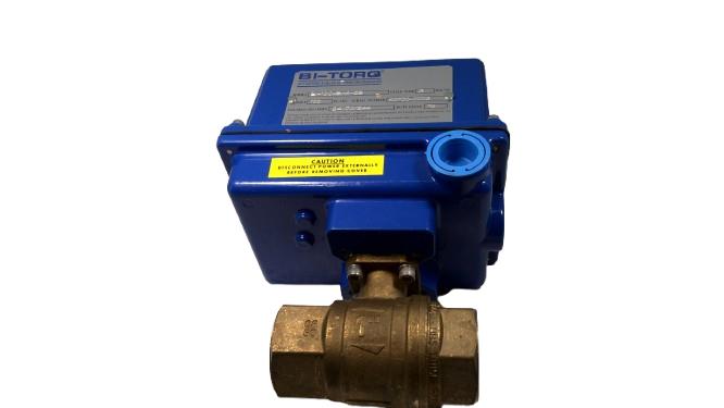 Bi Torq IP2P10100EB42S