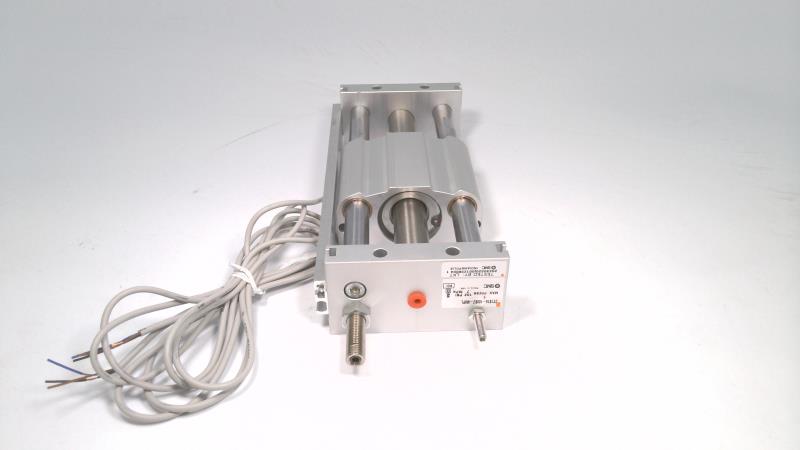 Smc CY1S15-100BZ-M9PL