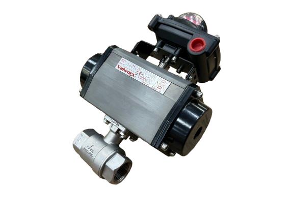 Valworx 530175 AP075