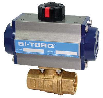 Bi Torq IP-2P-20-63-DA-PN-V