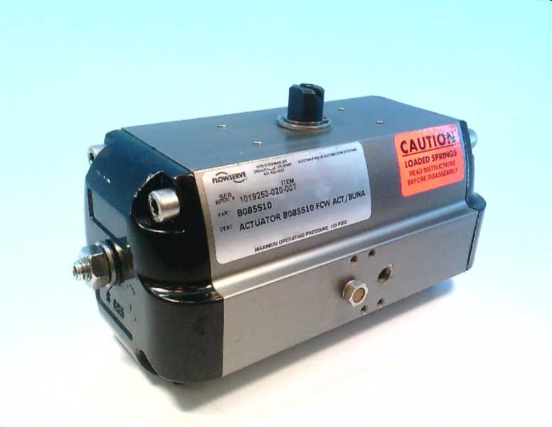 Flowserve B085S10