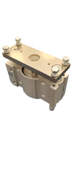 Smc MGPM100TN-50Z-M9PSAPC