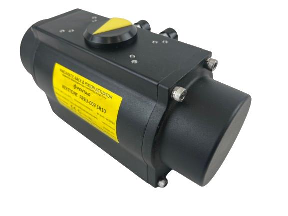 Pentair 89U0090310N14N2U00U34P0C