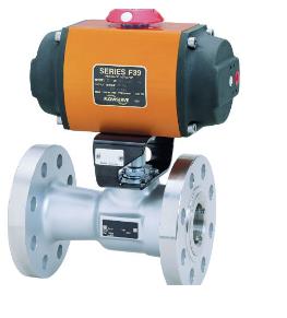 Flowserve WF11275000