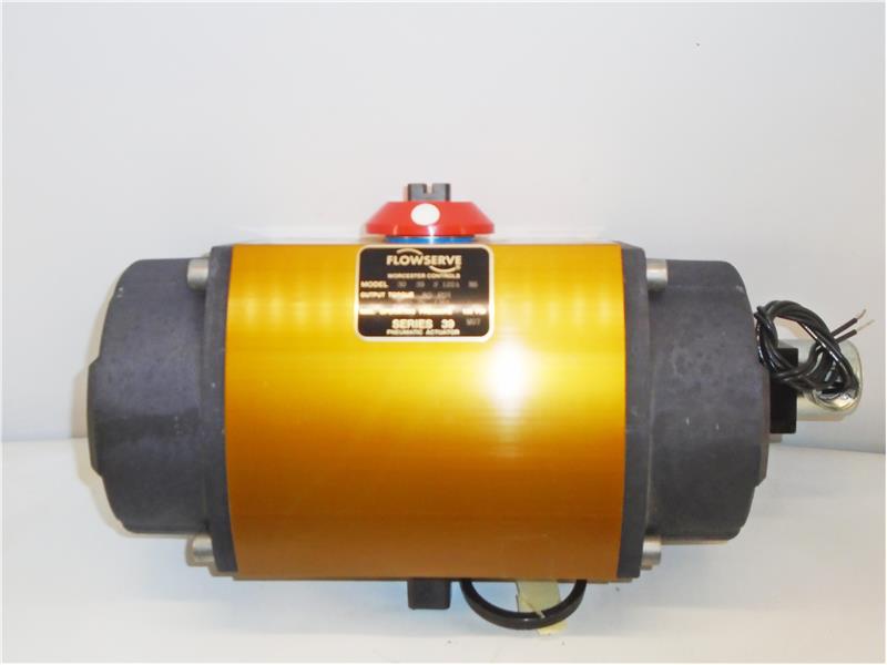 Flowserve 30-39-S-120A-R6