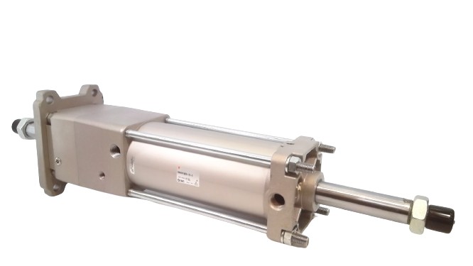 Smc CDNA2WF100TN-175-D