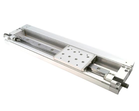 Smc MY2H25G-250H-F9BWL