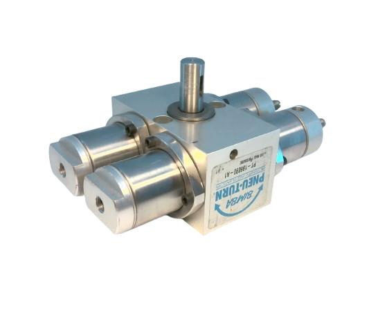 Bimba PT-196090-A1C1M