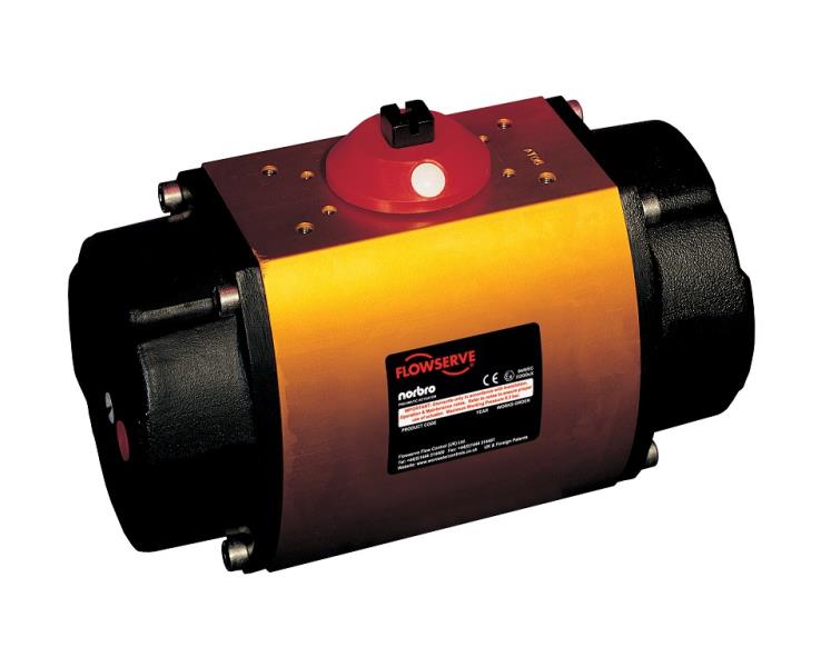 Flowserve 15-39-N-V64-R6