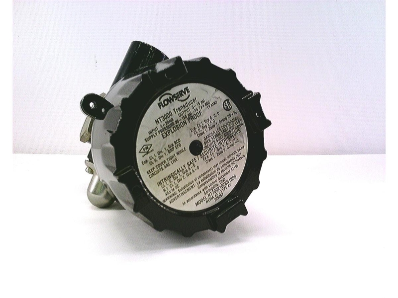 Flowserve NT3002I02SN1B00