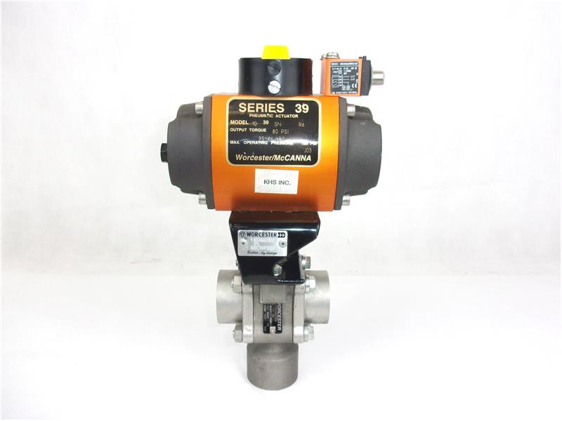 Flowserve 1039/1 BT4466TSW