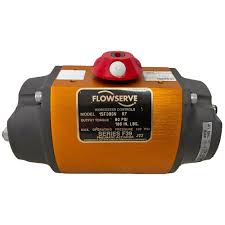 Flowserve 25F39SN-R7
