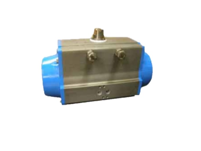 Pbm Valve PAVCL453S-0125