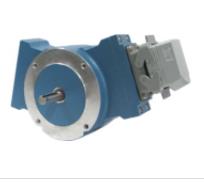 Nidec Corp AV485N1D8484P000