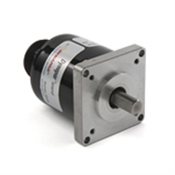 Dynapar H2205000012CP