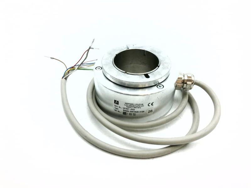 Pepperl & Fuchs RHS90N-0NAK1R6ZN-01024