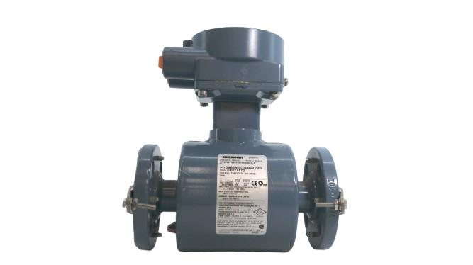 Emerson 8705TSA010S1W0N0H1L2