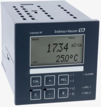 Endress & Hauser CLM223-ID8110
