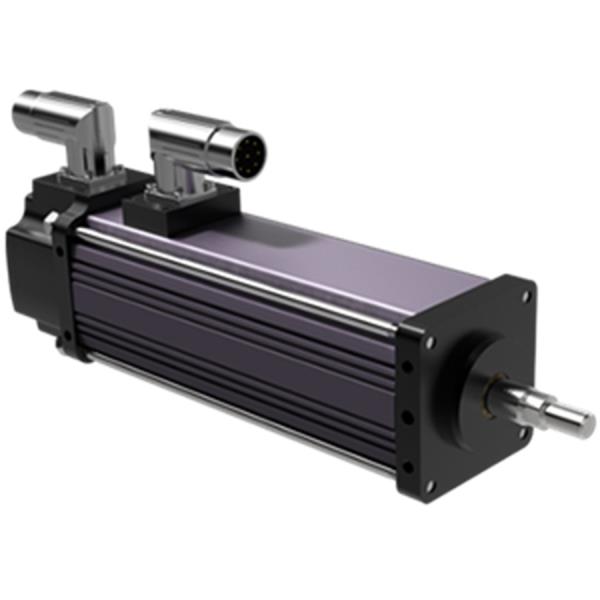 Exlar GSM20-0301-MDM-EM6-218-AR-L2-PF-XT