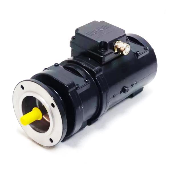 Baumer Electric GMP 1,0 LT-1