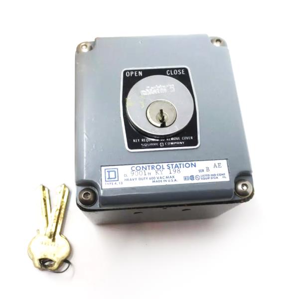 Schneider Electric 9001KY198