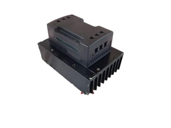 Watlow DC2T-48S5-S000