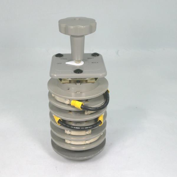 Electroswitch 24306YP