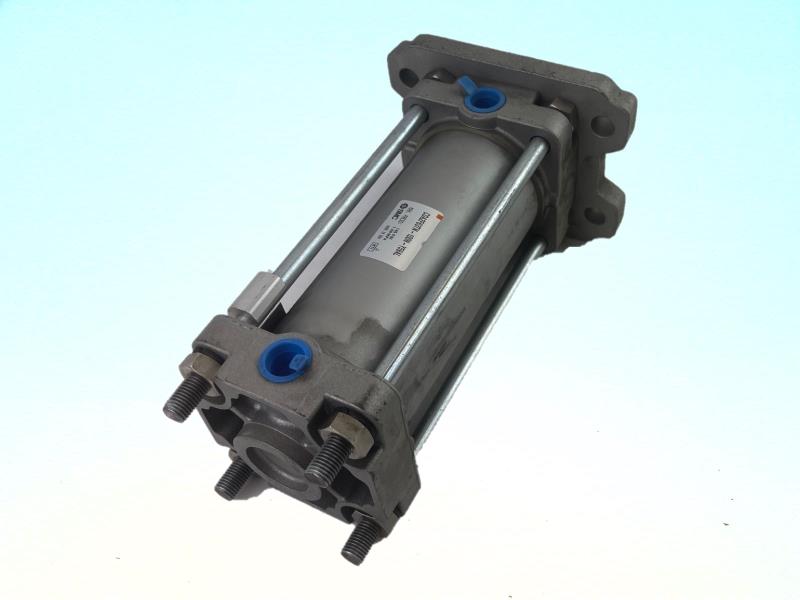 Ckd Corp SCA2S-0-FA100B175