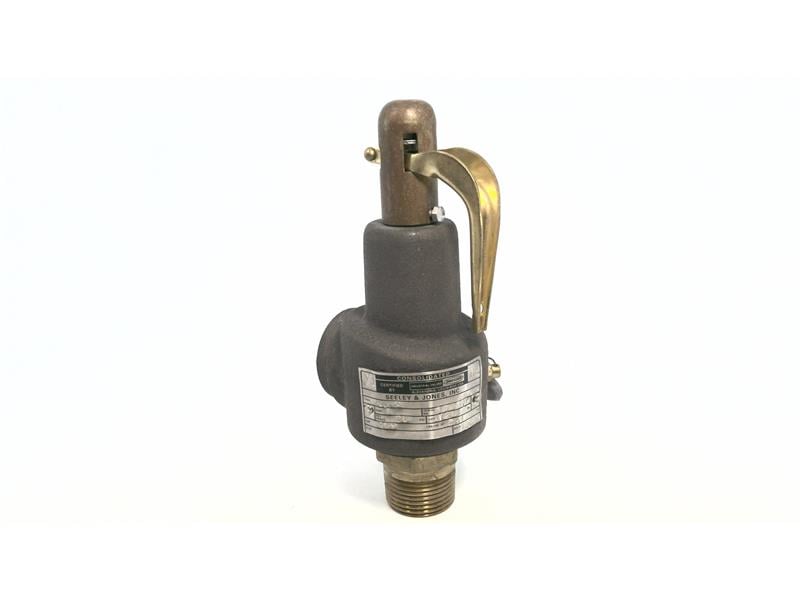 Consolidated Valve 1541E