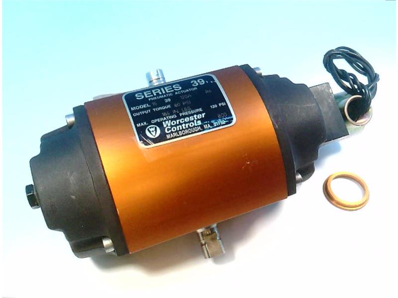 Flowserve 15F39-S-120A-R6