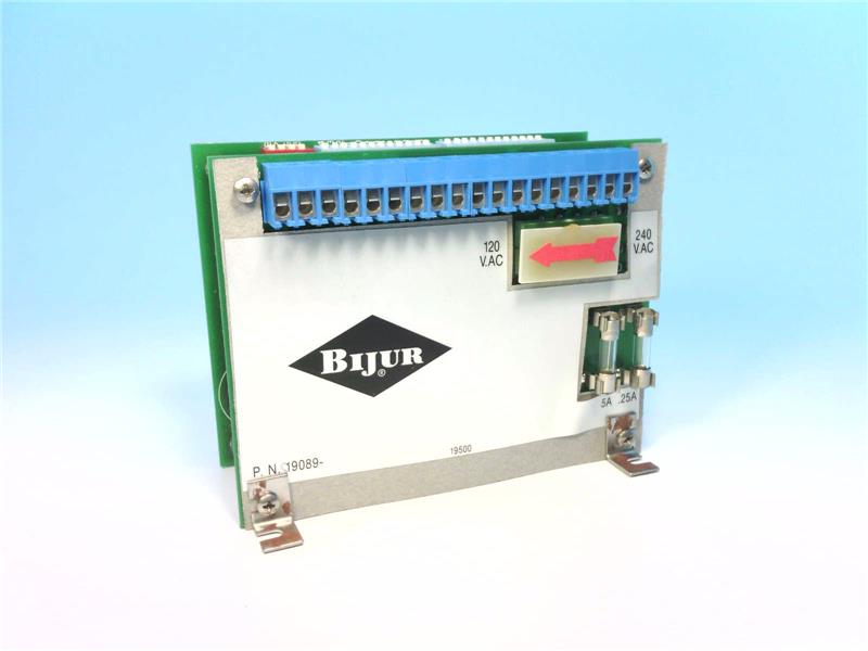 Bijur Delimon S19089-1