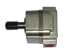 Bsm Pump 117-713-705-2